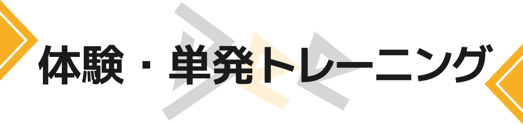 体験・単発セッション